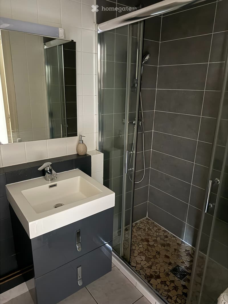 Studio à 100 mètres de la frontière avec Genève (5)