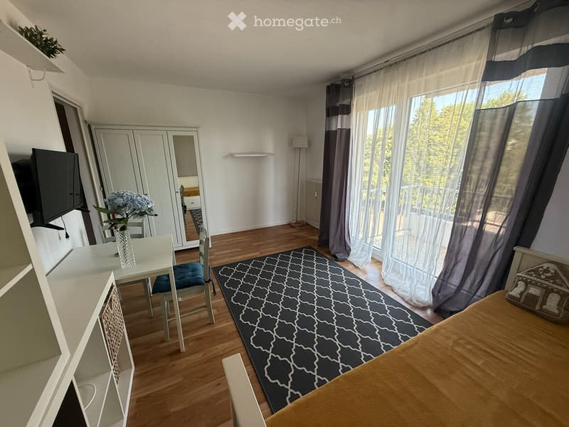 Studio à 100 mètres de la frontière avec Genève (4)