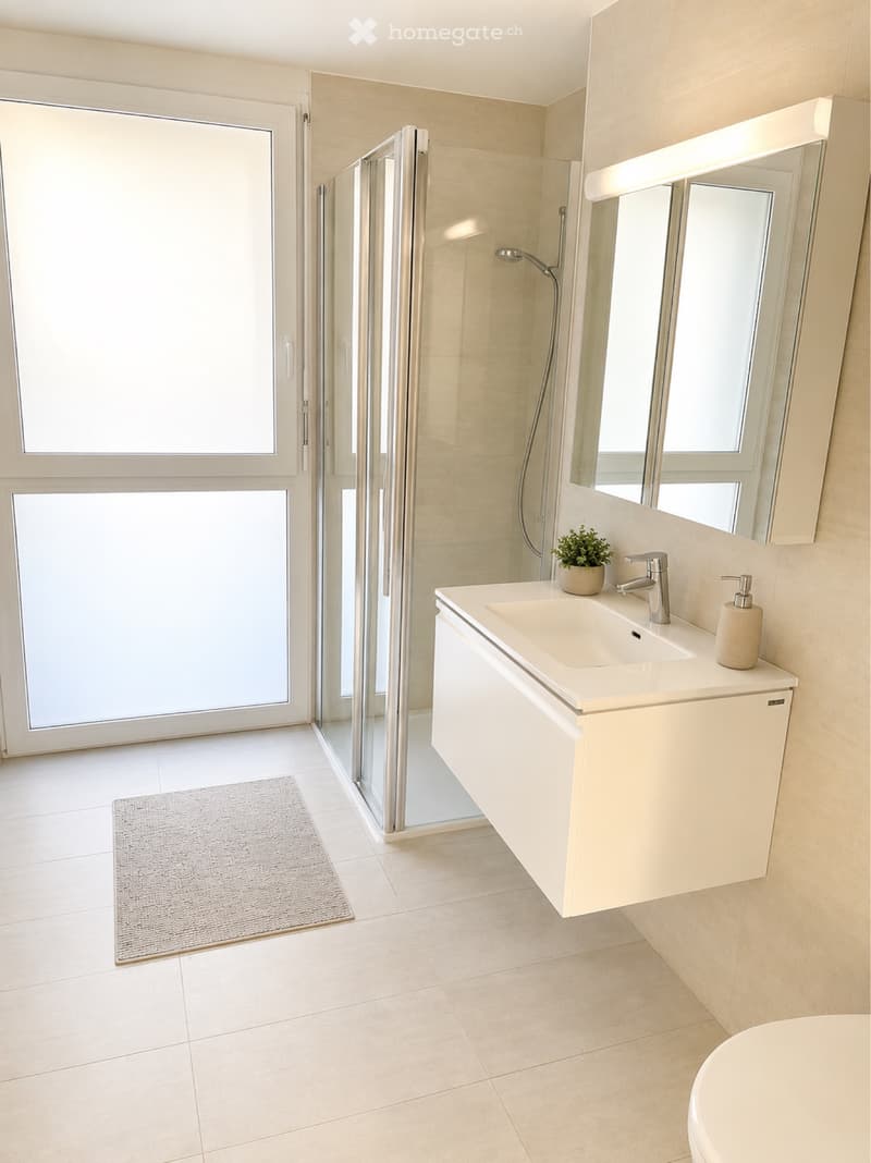 Attique Lumineux et calme de 3.5 pièces avec Terrasse (5)