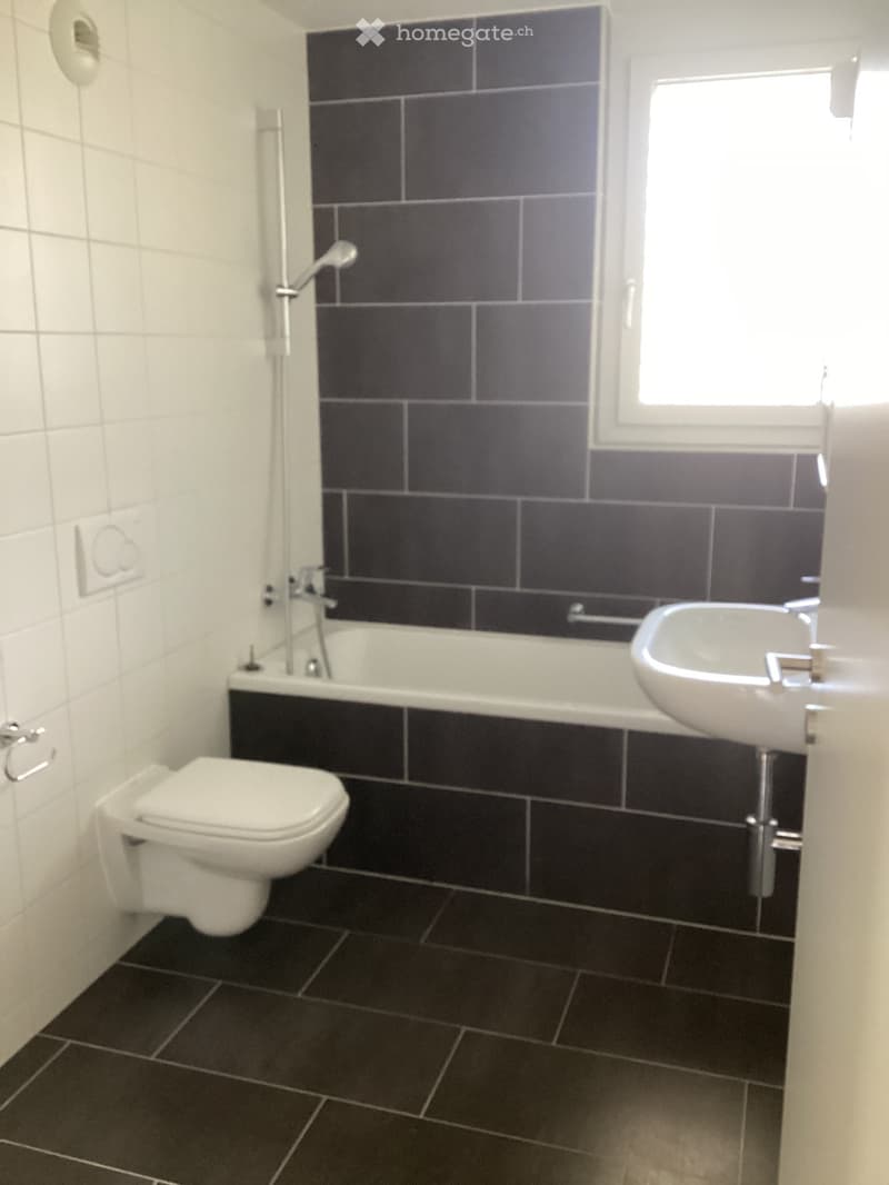 Magnifique appartement 4,5 pièces en attique (5)