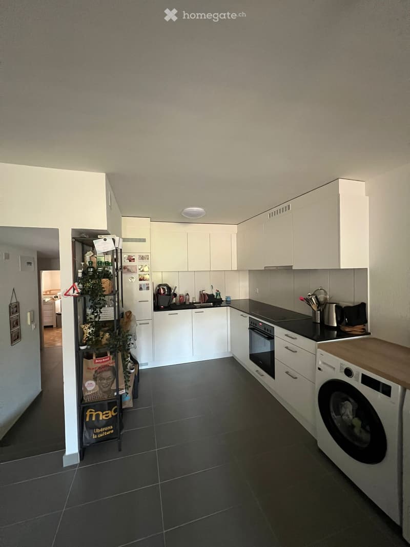 Basse ville Fribourg - appartement 4,5 à louer (2)