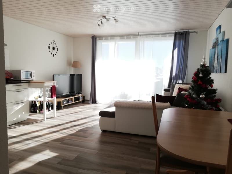 Attique de 2.5 pces avec grand balcon (2)