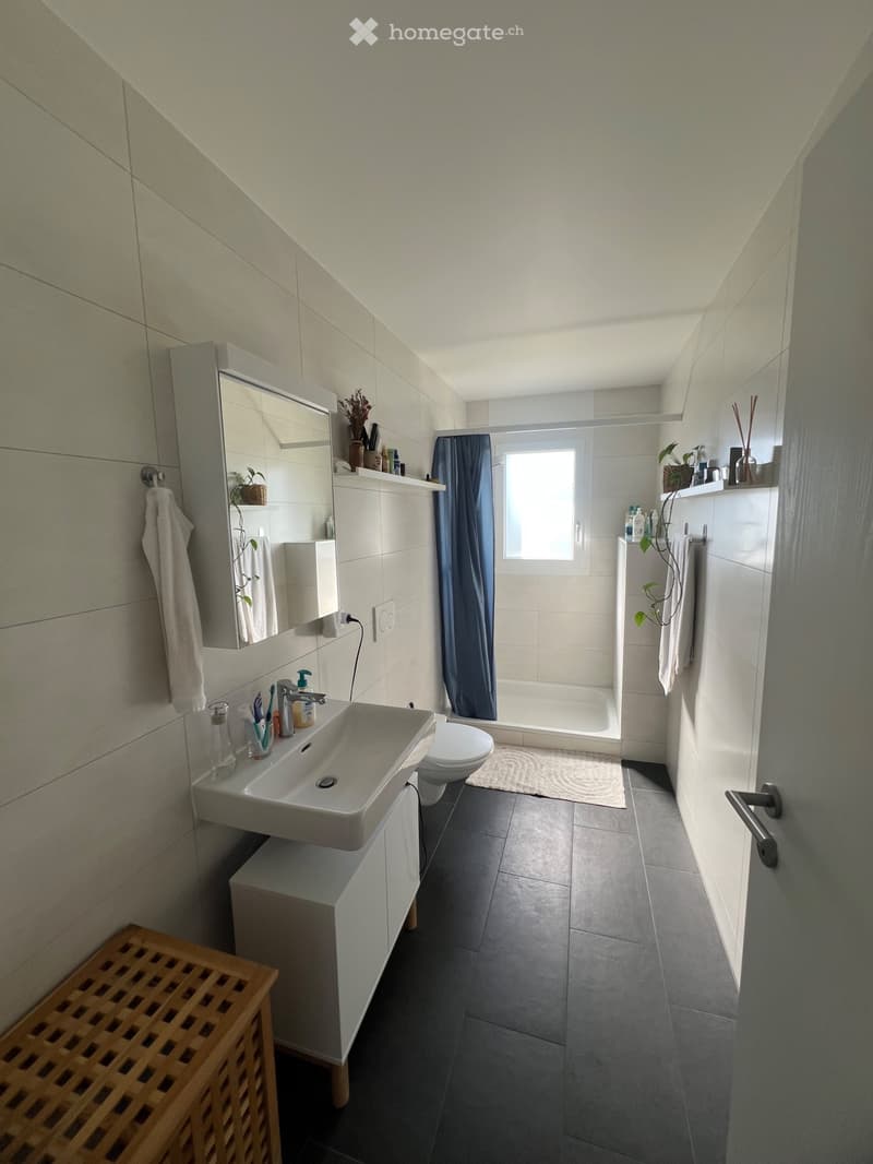 Appartement 2.5 pièces (avec place de parc) à louer (4)