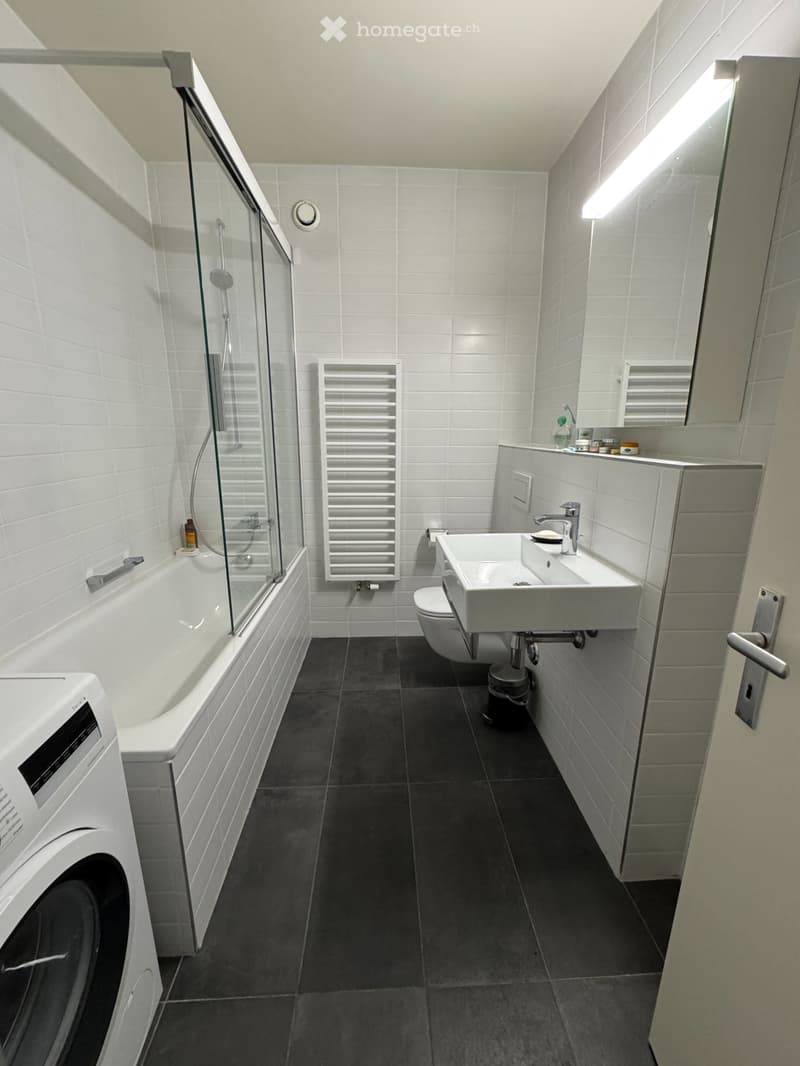 Fully Furnished 3.5-Room Apartment, Petit-Saconnex (4)