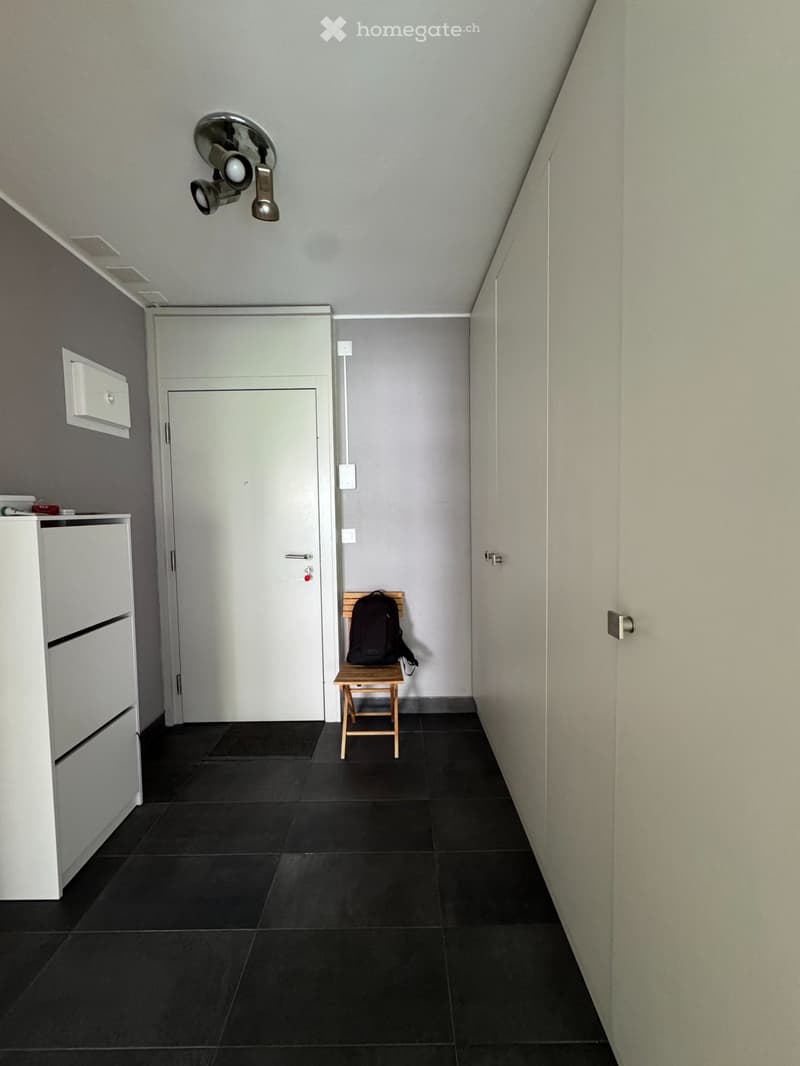 Fully Furnished 3.5-Room Apartment, Petit-Saconnex (5)