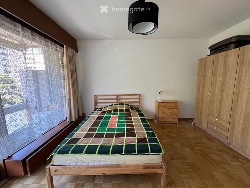 Fully Furnished 3.5-Room Apartment, Petit-Saconnex (3)