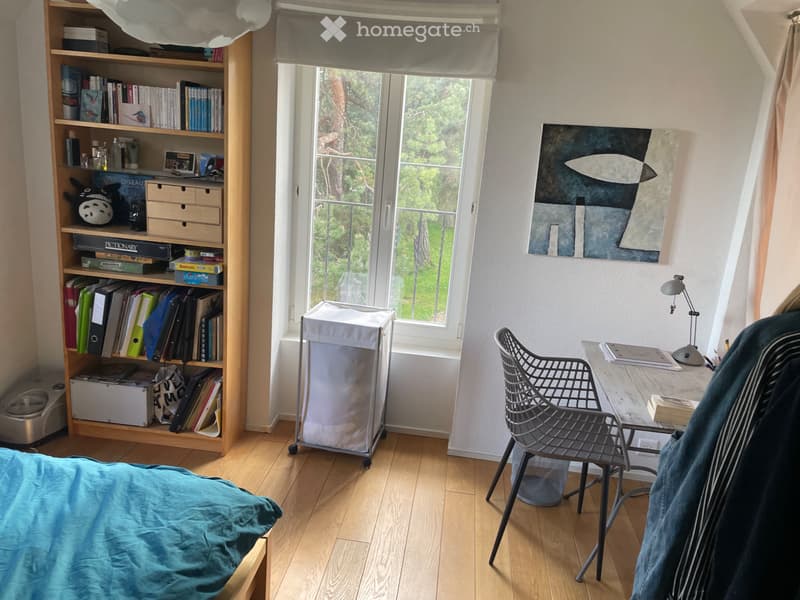 Magnifique appartement à Neuchâtel (4)
