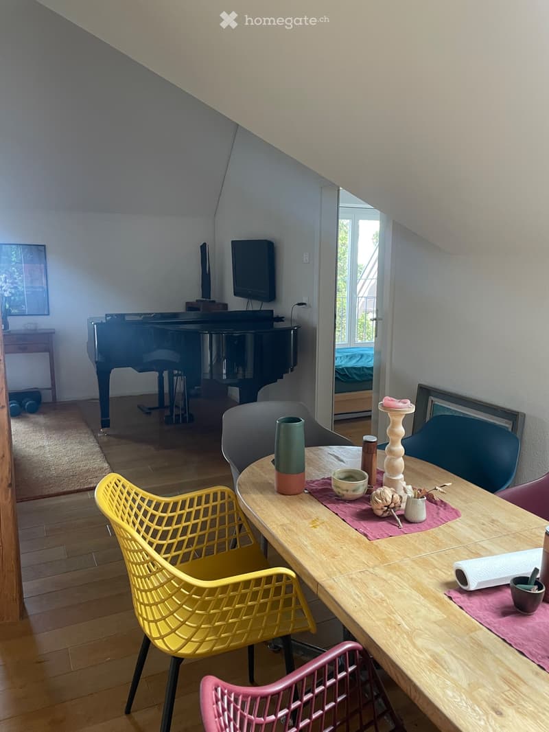Magnifique appartement à Neuchâtel (5)