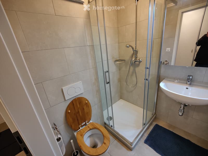 Colocation - chambre + bureau avec salle de bain privative (4)