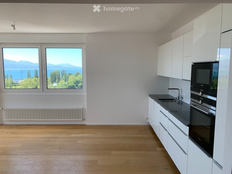 Haut standing, vue exceptionnelle sur le lac et les montages (3)