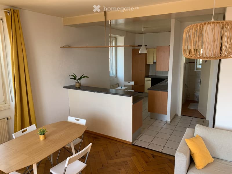 DUPLEX MEUBLÉ AVEC CACHET POUR 4 MOIS (1.7.26 AU 31.10.26) (4)