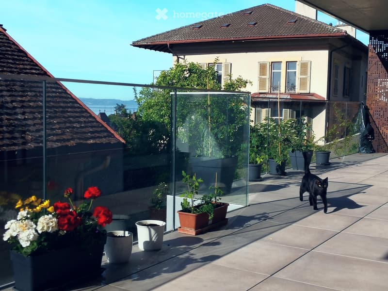Rare 3.5 pièces moderne avec grande terrasse à Neuchâtel (2)