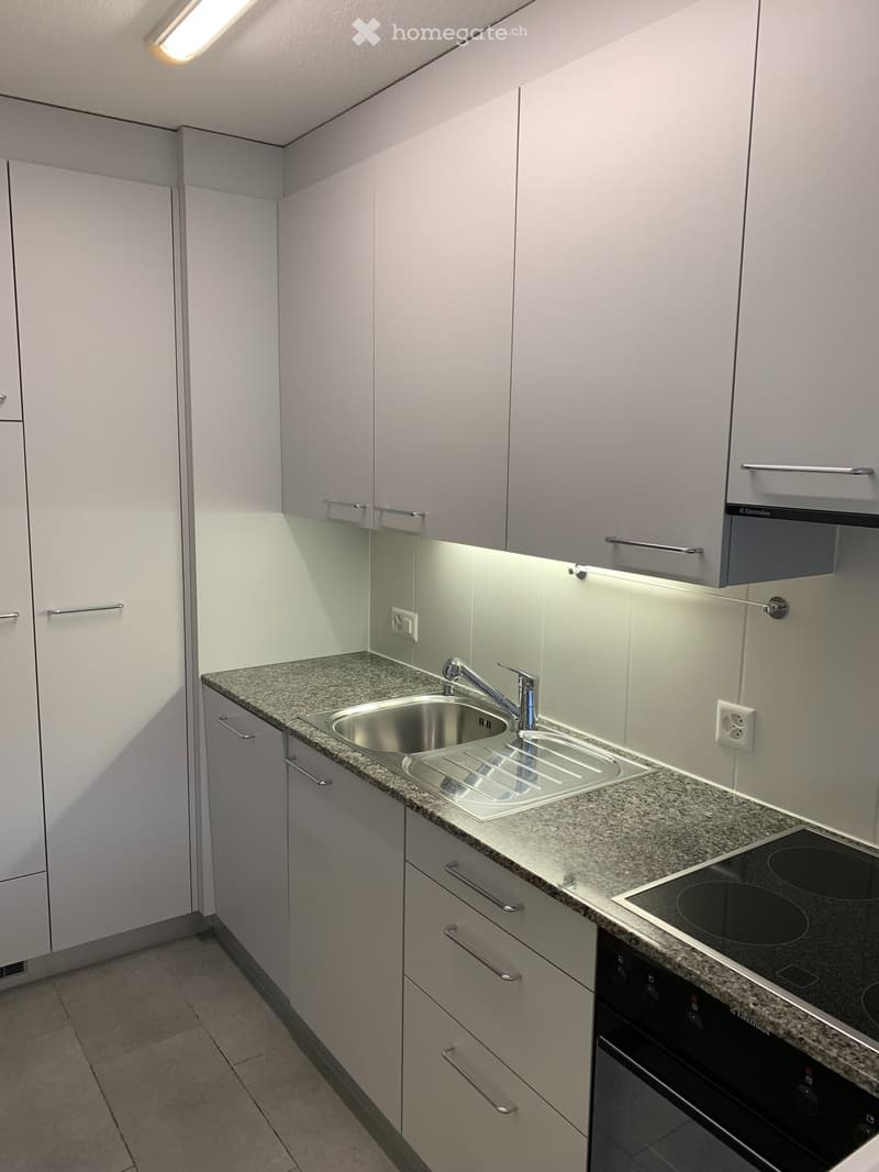 Renovated 3-room attic apartment, Faulenbachweg. 28A, 3700 Spiez (3)