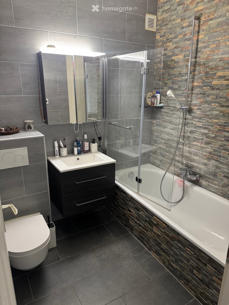 Appartement 4.5 pièces (3)