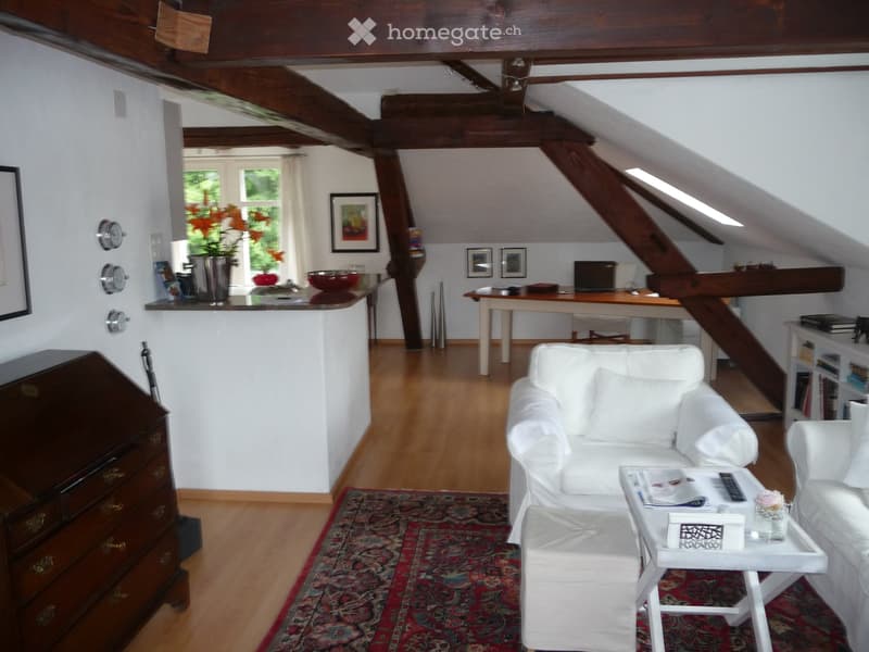 Schöne Dachwohnung in Kreuzlingen (2)