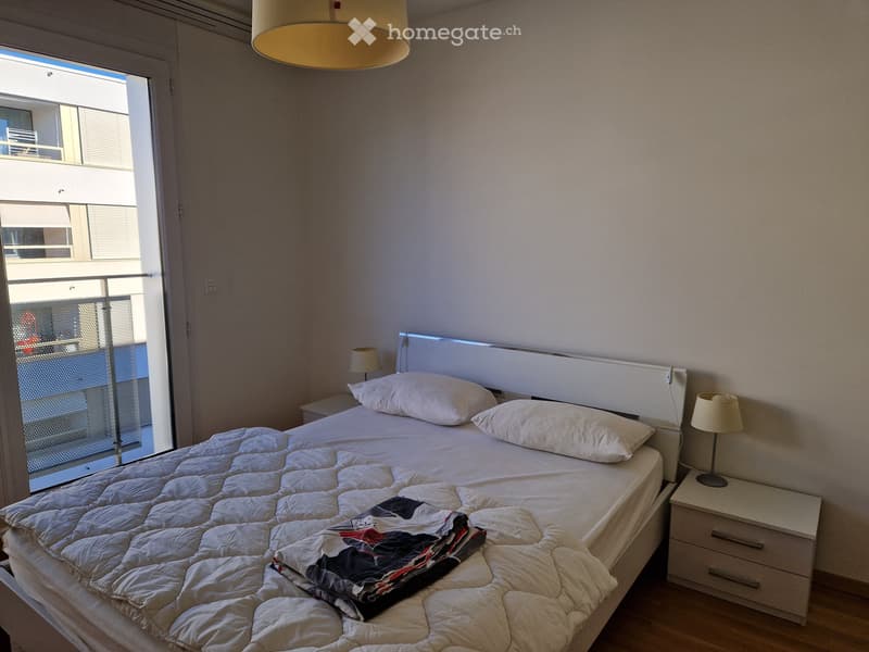 Magnifique appartement de 4 pièces à Chatelaine (3)