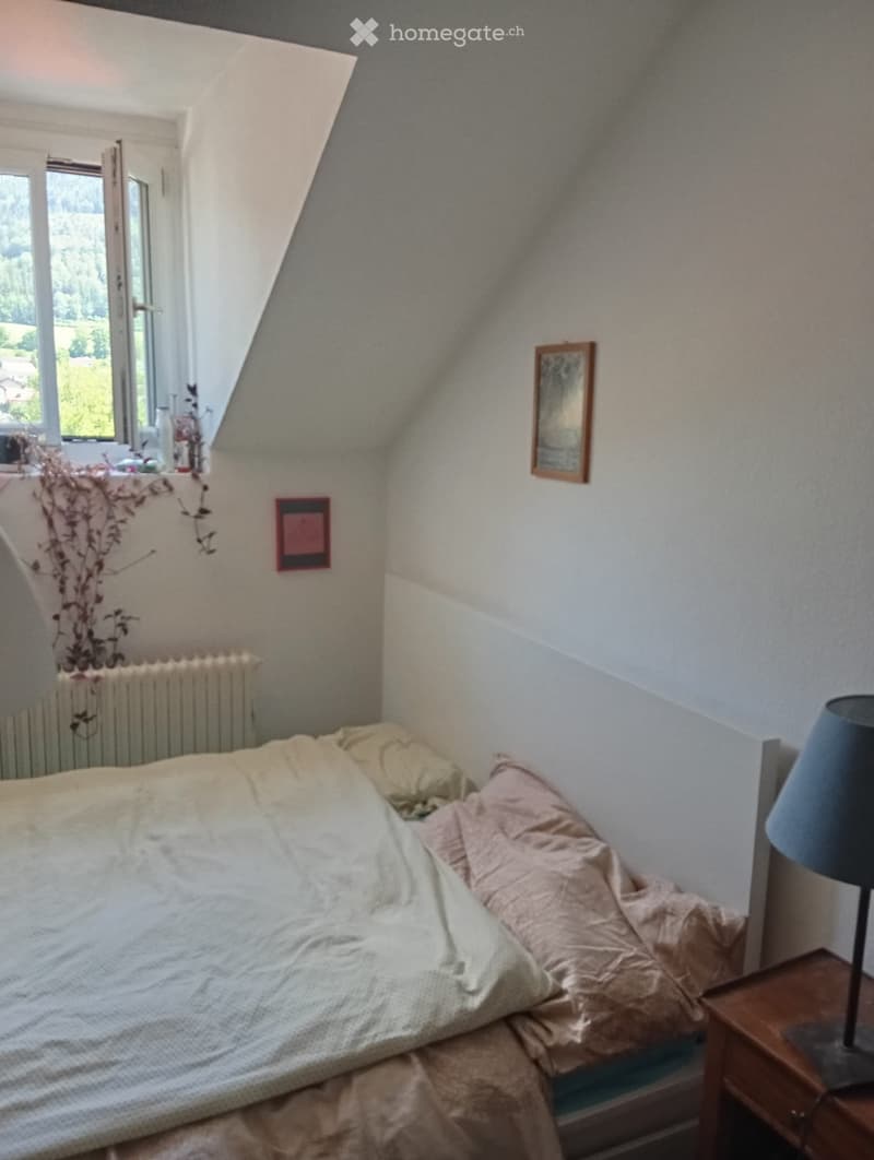 Joli appartement avec vue sur la Dent de Vaulion à Vallorbe (2)
