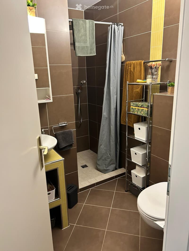 Appartement 3.5 pcs à louer pour le 01.07.26 (3)