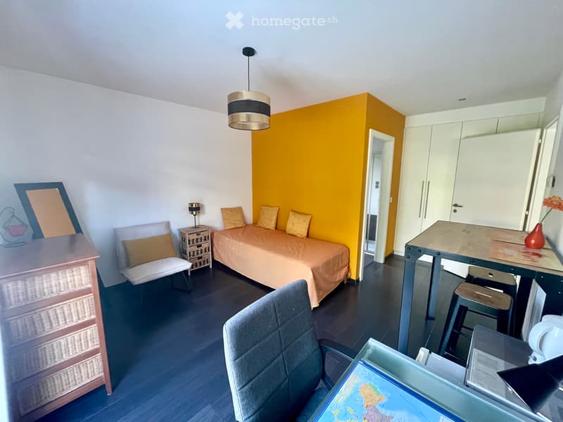 Chambre pour étudiante à louer (2)