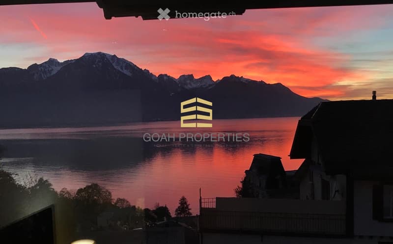 Magnifique appartement de 3,5 pièces avec vue panoramique (4)
