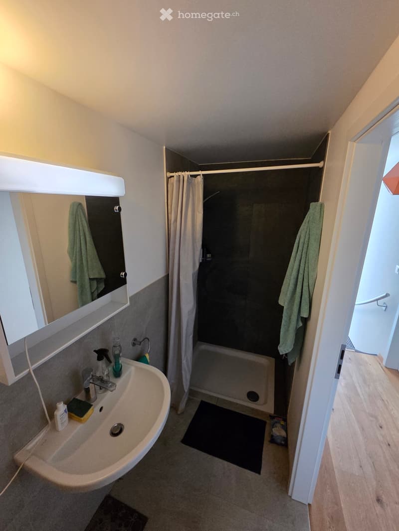 Chambre en colocation - Le-Mont-Sur-Lausanne (2)