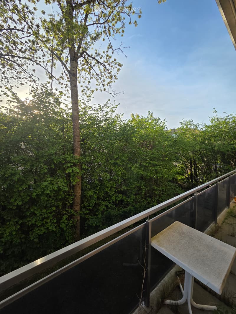 Chambre en colocation - Le-Mont-Sur-Lausanne (5)