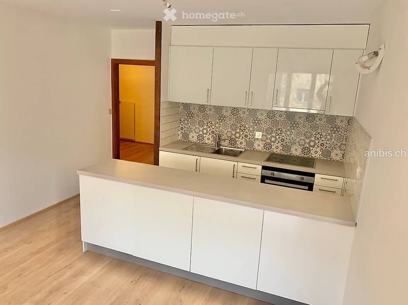 Magnifique 3.5 pièces avec 2 balcons à Sion (3)