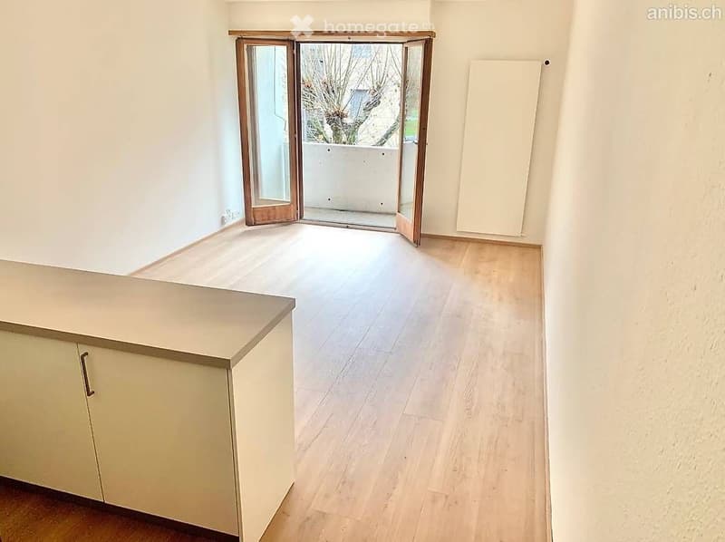 Magnifique 3.5 pièces avec 2 balcons à Sion (2)