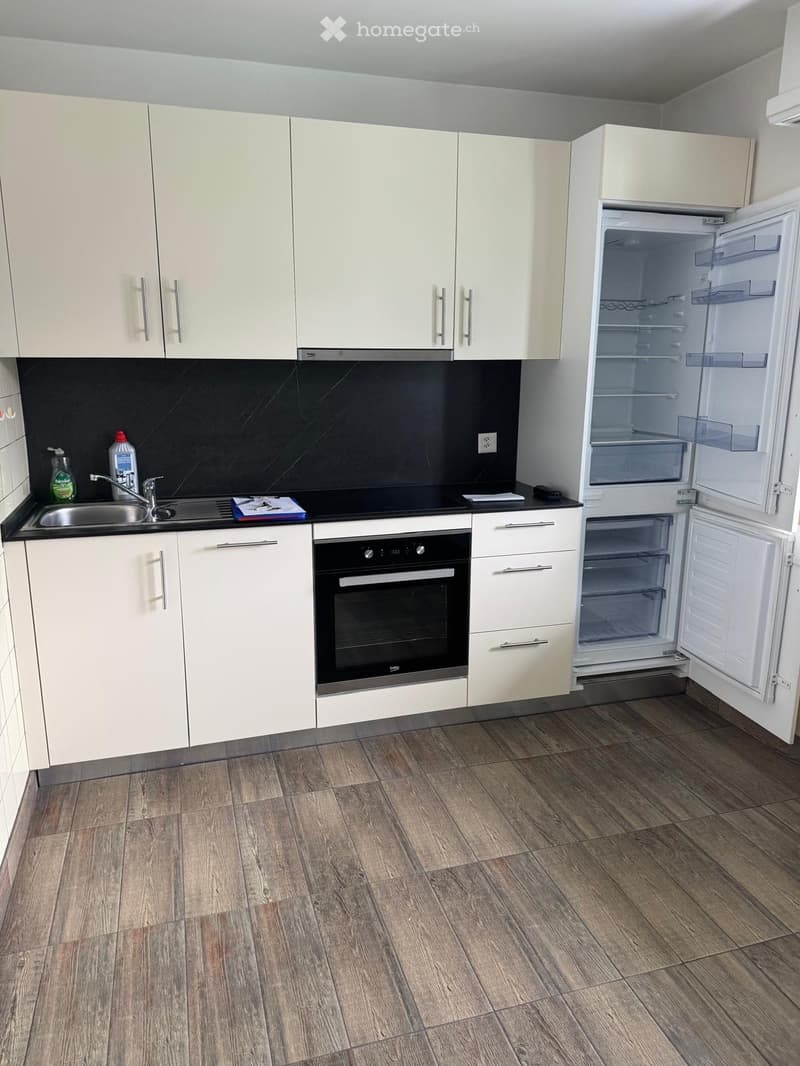 Appartement 1,5 pièce avec balcon et vue sur les montagnes (4)