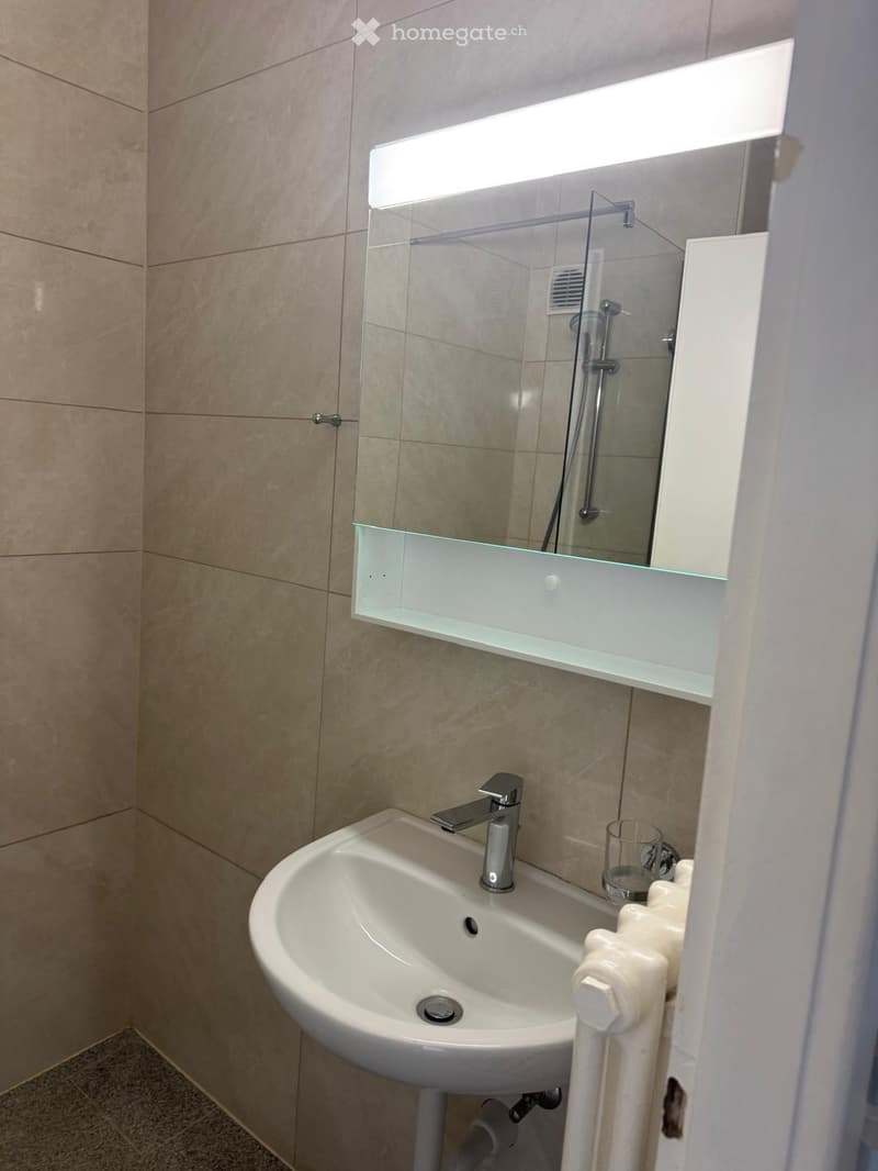 Appartement 1,5 pièce avec balcon et vue sur les montagnes (5)
