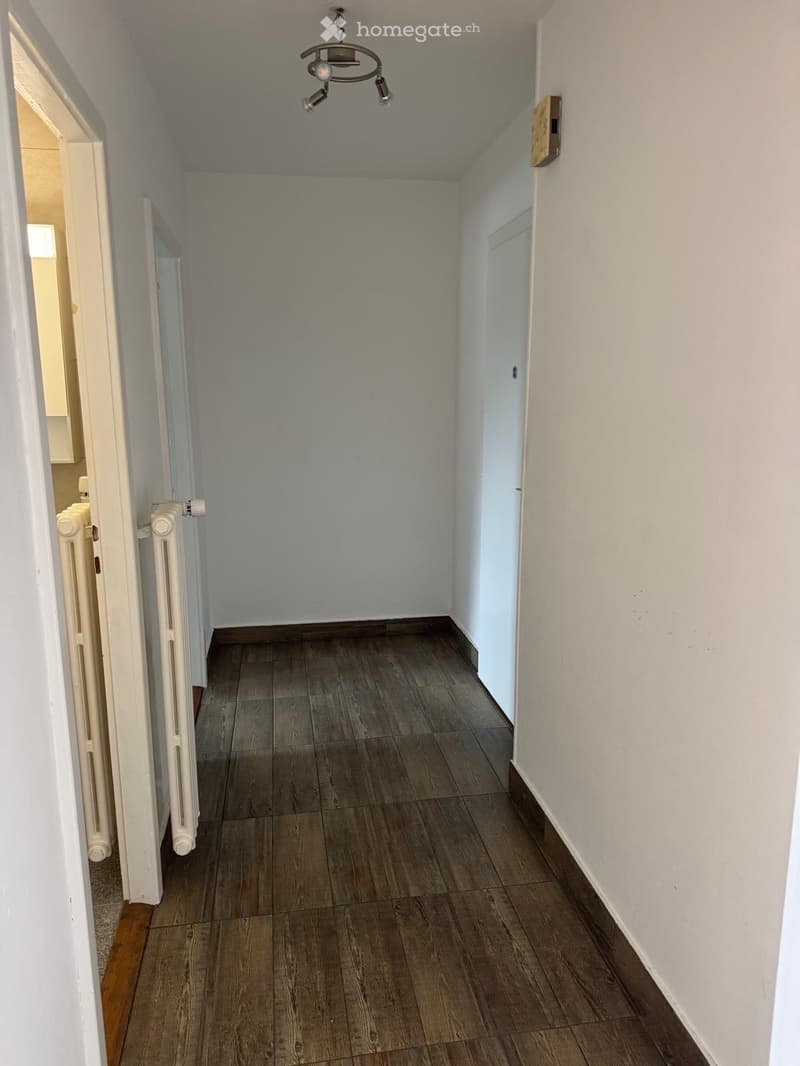 Appartement 1,5 pièce avec balcon et vue sur les montagnes (2)