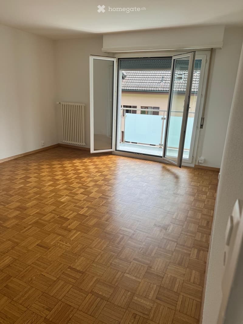 Appartement 1,5 pièce avec balcon et vue sur les montagnes (3)