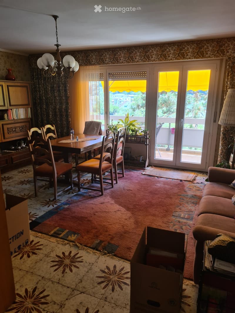 Magnifique appartement 4 pièces 1/2 au bord de la Vièze ! (5)