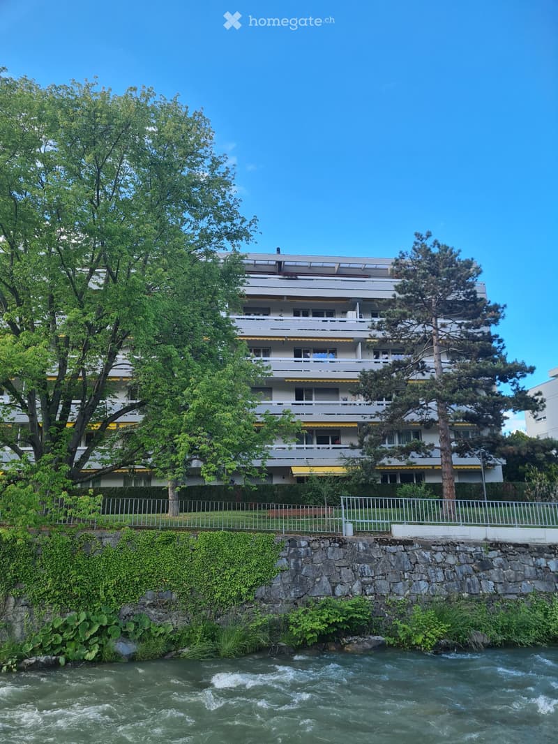 Magnifique appartement 4 pièces 1/2 au bord de la Vièze ! (3)