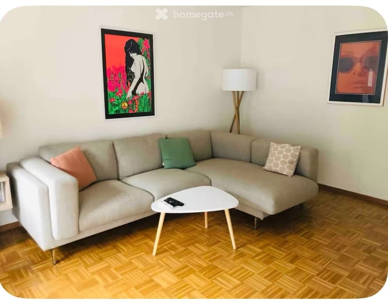 Sous-location appartement meublé 3 pièces (2)