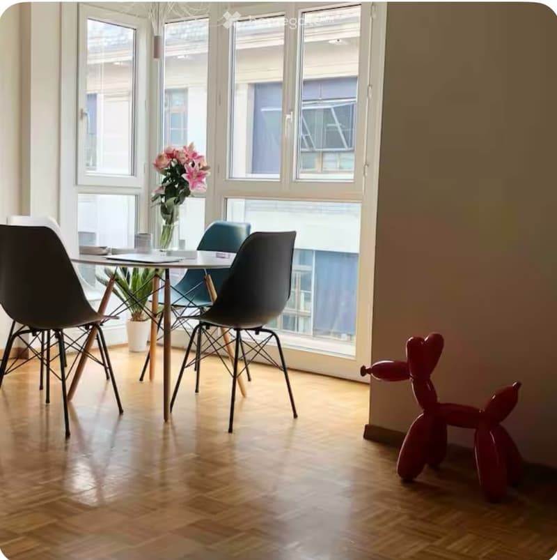 Sous-location appartement meublé 3 pièces (3)