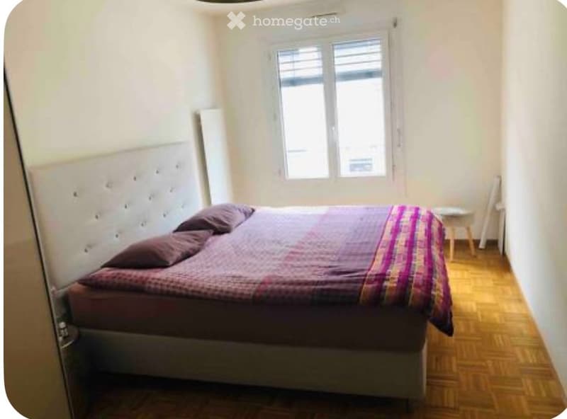 Sous-location appartement meublé 3 pièces (4)