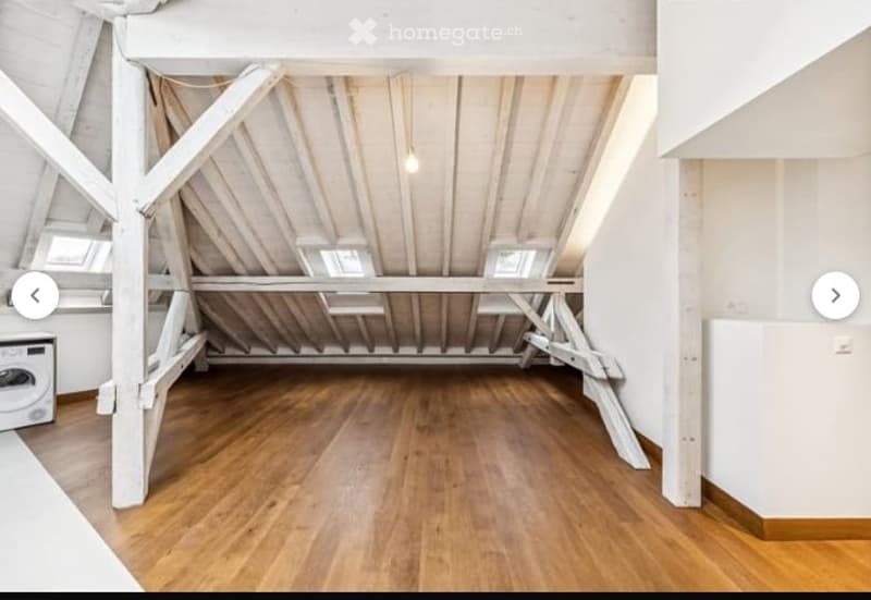 Superbe 3.5 pièces de caractère  dès le 1er juillet (7)