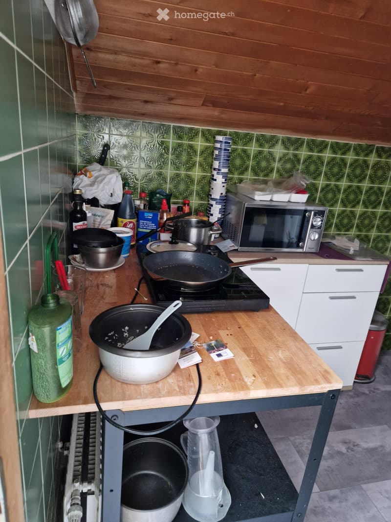 zu vermieten originelle Wohnung (4)