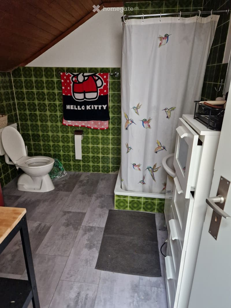 zu vermieten originelle Wohnung (5)