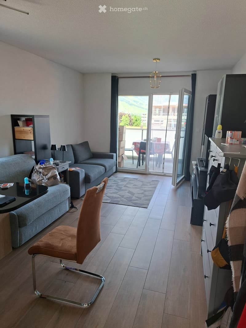 Magnifique appartement 1.5 pièces 5min centre et Gare (4)