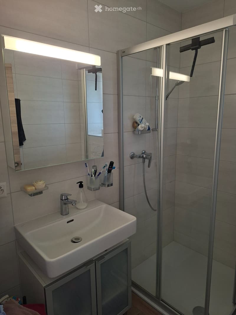 Magnifique appartement 1.5 pièces 5min centre et Gare (5)