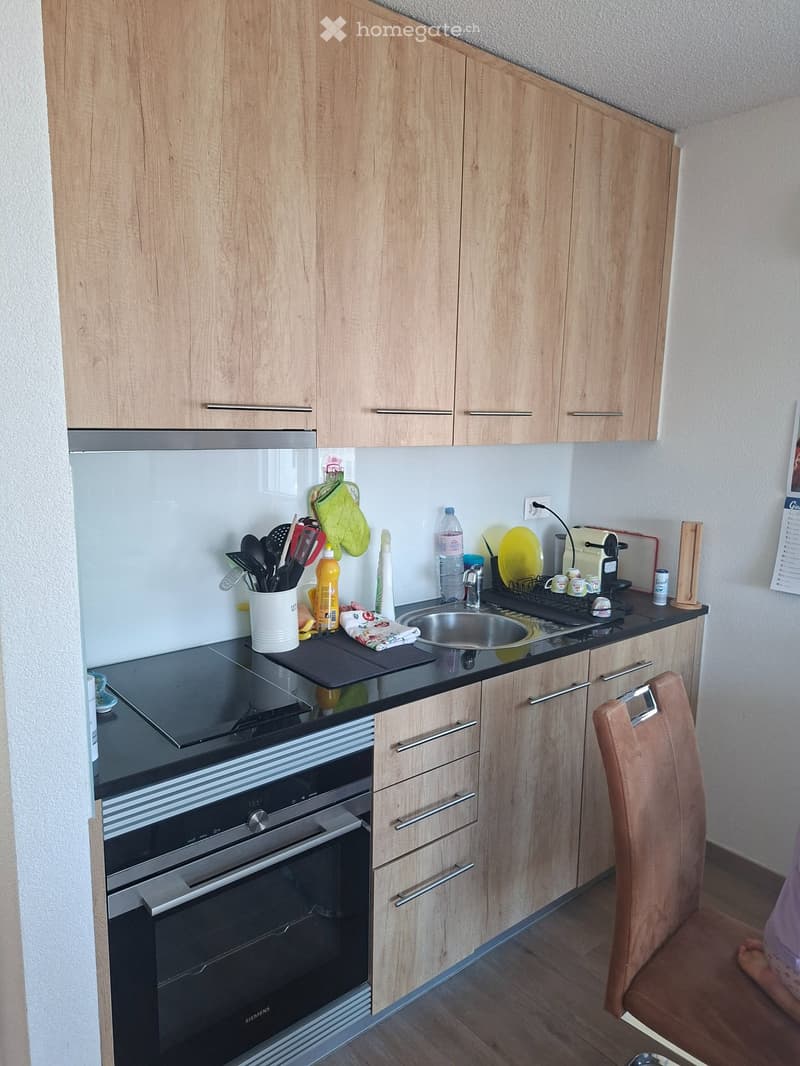 Magnifique appartement 1.5 pièces 5min centre et Gare (3)
