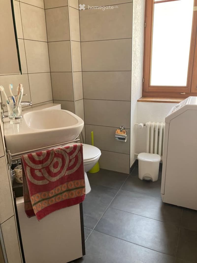 Très bel appartement de 3,5 pièces  - rénové (2)
