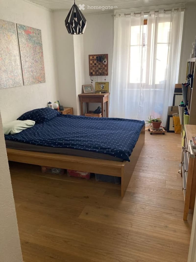 Très bel appartement de 3,5 pièces  - rénové (3)