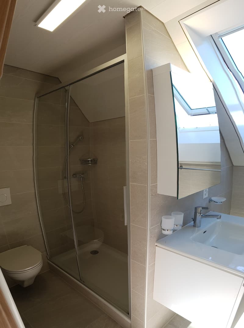 Appartement en attique créé en 2019 (3)