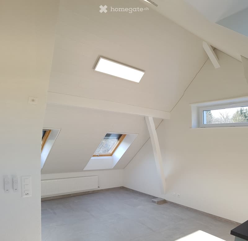 Appartement en attique créé en 2019 (2)