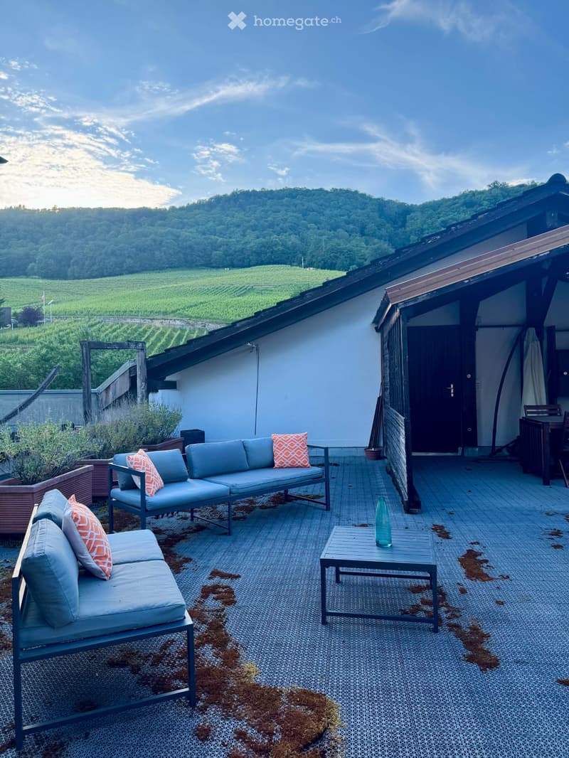 4.5 pièces dans domaine viticole avec terrasse à Cressier (5)