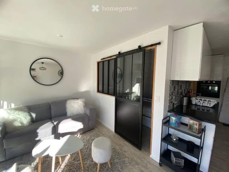 Magnifique appartement de 1,5. Pièces (3)