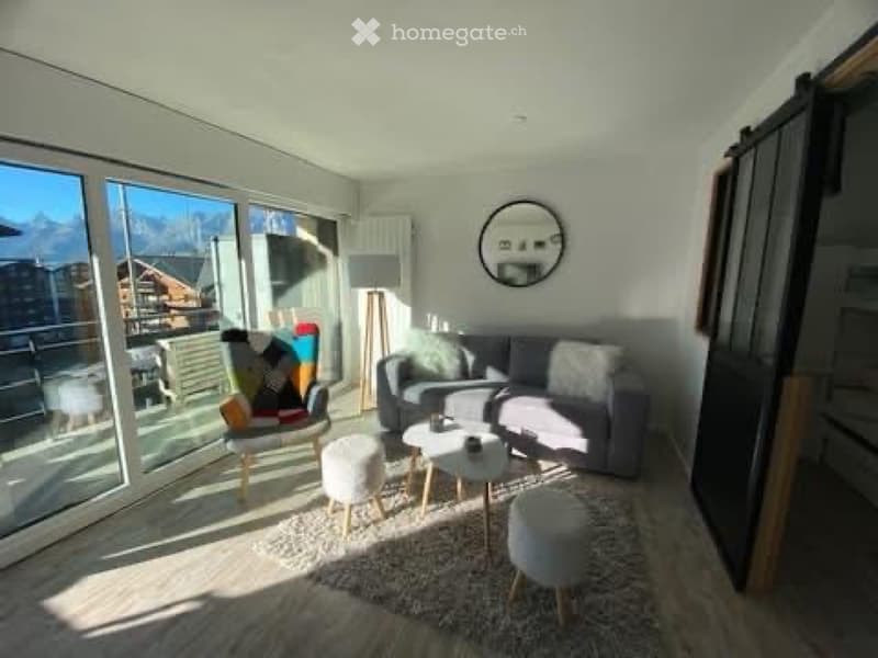 Magnifique appartement de 1,5. Pièces (2)